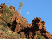 Ndhala Gorge - East MacDonnell Ranges - Northern Territory